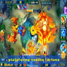 plataforma coelho fortuna